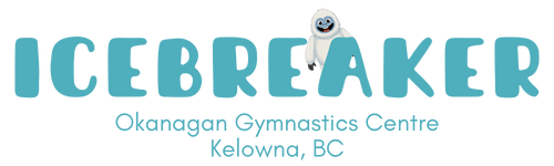 Icebreaker Raffle 2025